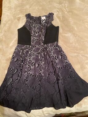 Parker Snake-Print Dress with Black Panels